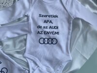 Audis body