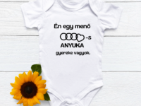 Audis- anyás