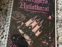 Beleegyező nyilatkozat - kamera